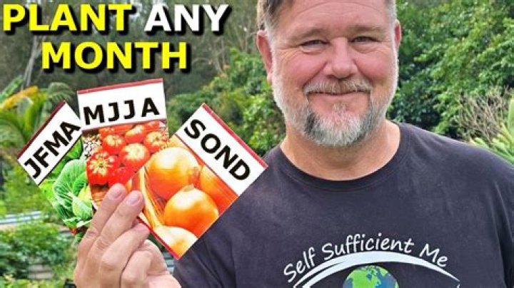 Self Sufficient Me video statistics